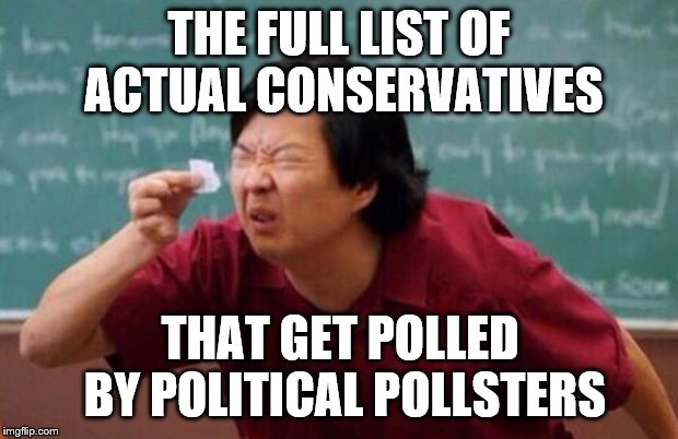 Toootally scientific polls that are always wrong in the same direction | THE FULL LIST OF ACTUAL CONSERVATIVES; THAT GET POLLED BY POLITICAL POLLSTERS | image tagged in political,polls,cheating,conservatives,democrats | made w/ Imgflip meme maker