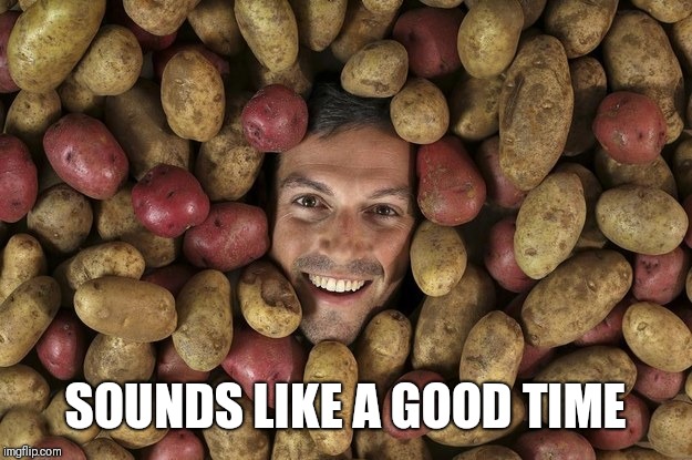 Potatoes lover | SOUNDS LIKE A GOOD TIME | image tagged in potatoes lover | made w/ Imgflip meme maker