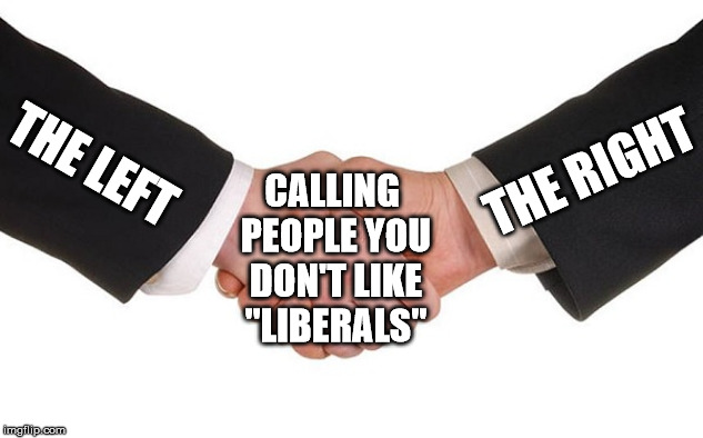 handshake | THE RIGHT; CALLING PEOPLE YOU DON'T LIKE "LIBERALS"; THE LEFT | image tagged in handshake | made w/ Imgflip meme maker