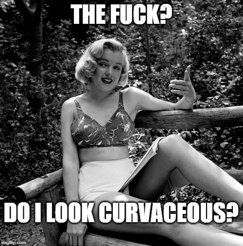 THE FUCK? DO I LOOK CURVACEOUS? | made w/ Imgflip meme maker