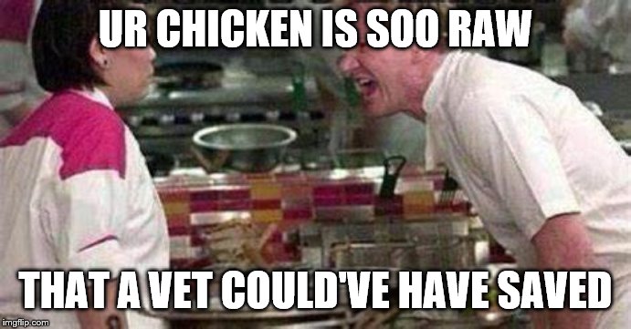 Gordon Ramsay meme | UR CHICKEN IS SOO RAW; THAT A VET COULD'VE HAVE SAVED | image tagged in chef gordon ramsay | made w/ Imgflip meme maker