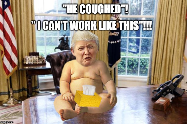 Princess Trump | " I CAN'T WORK LIKE THIS"!!! "HE COUGHED"! | image tagged in crybaby,donald trump is an idiot,oval office,lame | made w/ Imgflip meme maker