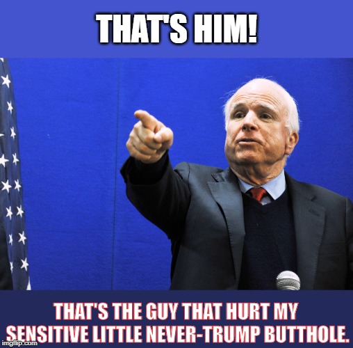 John McCain RINO traitor | THAT'S HIM! THAT'S THE GUY THAT HURT MY SENSITIVE LITTLE NEVER-TRUMP BUTTHOLE. | image tagged in john mccain,snowflake,rino,fake republican | made w/ Imgflip meme maker