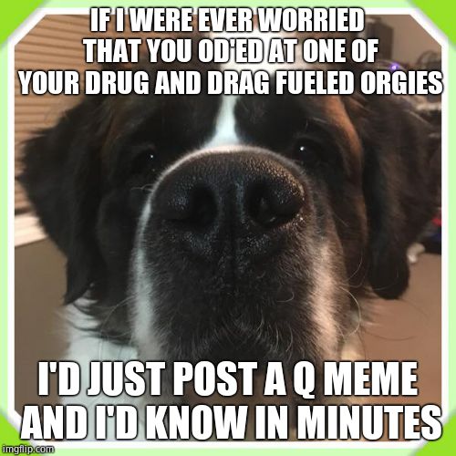 St Bernard | IF I WERE EVER WORRIED THAT YOU OD'ED AT ONE OF YOUR DRUG AND DRAG FUELED ORGIES I'D JUST POST A Q MEME AND I'D KNOW IN MINUTES | image tagged in st bernard | made w/ Imgflip meme maker