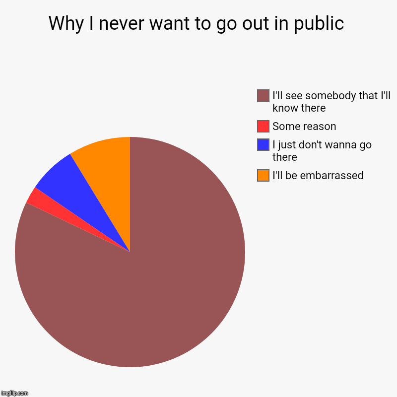 Why I never want to go out in public | I'll be embarrassed, I just don't wanna go there, Some reason, I'll see somebody that I'll know there | image tagged in charts,pie charts | made w/ Imgflip chart maker