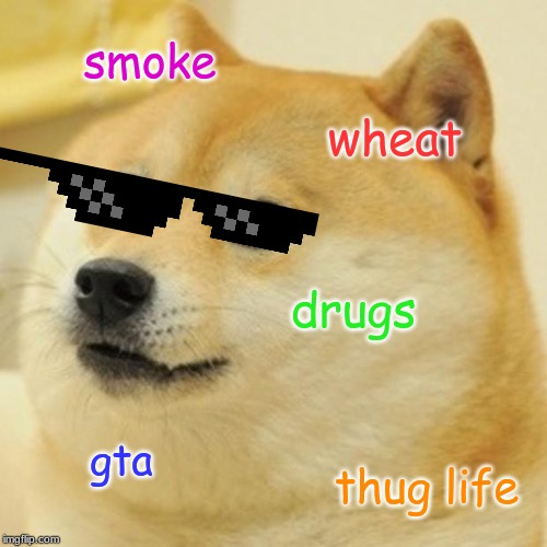 Doge Meme | smoke; wheat; drugs; gta; thug life | image tagged in memes,doge | made w/ Imgflip meme maker