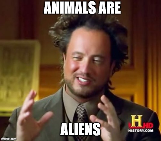 Aliens | ANIMALS ARE; ALIENS | image tagged in memes,ancient aliens,funny,animals,aliens | made w/ Imgflip meme maker