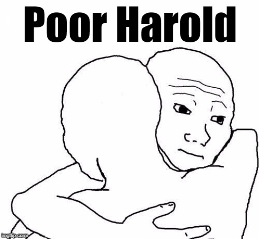 awww hug | Poor Harold | image tagged in awww hug | made w/ Imgflip meme maker