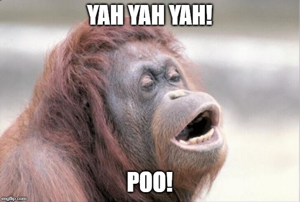 Monkey OOH Meme | YAH YAH YAH! POO! | image tagged in memes,monkey ooh | made w/ Imgflip meme maker