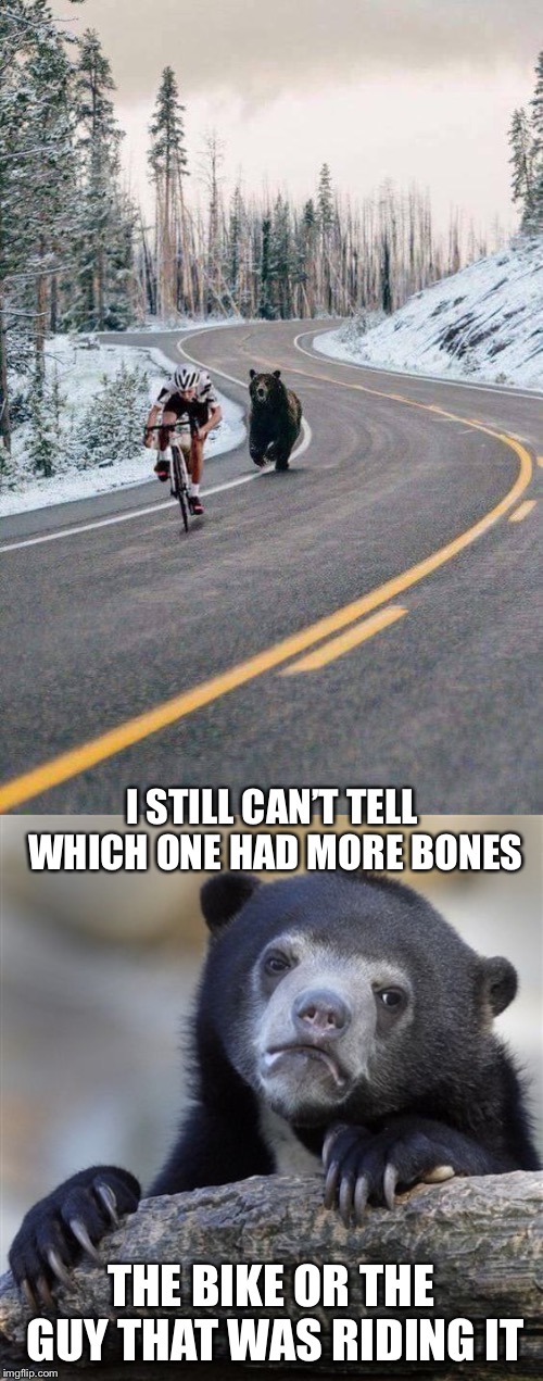  I STILL CAN’T TELL WHICH ONE HAD MORE BONES; THE BIKE OR THE GUY THAT WAS RIDING IT | image tagged in bear chasing cyclist,memes,funny,confession bear | made w/ Imgflip meme maker