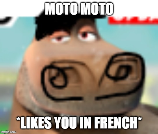 moto moto french | MOTO MOTO; *LIKES YOU IN FRENCH* | image tagged in moto moto,french | made w/ Imgflip meme maker