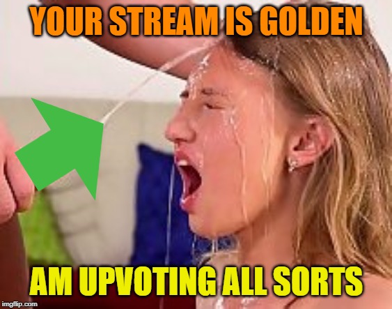 YOUR STREAM IS GOLDEN AM UPVOTING ALL SORTS | made w/ Imgflip meme maker