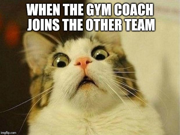 Scared Cat | WHEN THE GYM COACH JOINS THE OTHER TEAM | image tagged in memes,scared cat,gym coach | made w/ Imgflip meme maker