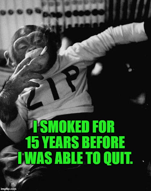 smoking monkey  | I SMOKED FOR 15 YEARS BEFORE I WAS ABLE TO QUIT. | image tagged in smoking monkey | made w/ Imgflip meme maker