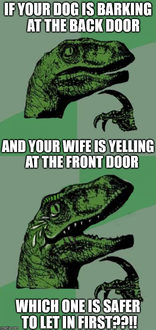 Philosoraptor | IF YOUR DOG IS BARKING      AT THE BACK DOOR; AND YOUR WIFE IS YELLING       AT THE FRONT DOOR; WHICH ONE IS SAFER TO LET IN FIRST??!! | image tagged in memes,philosoraptor,laughing,dog,wife,yelling | made w/ Imgflip meme maker