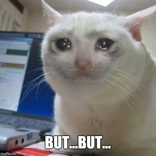 Crying cat | BUT...BUT... | image tagged in crying cat | made w/ Imgflip meme maker
