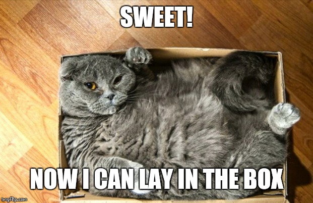 cat in a box | SWEET! NOW I CAN LAY IN THE BOX | image tagged in cat in a box | made w/ Imgflip meme maker