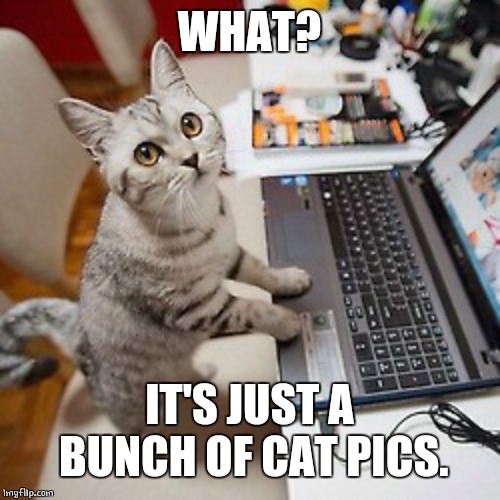 Computer Cat | WHAT? IT'S JUST A BUNCH OF CAT PICS. | image tagged in computer cat,cats | made w/ Imgflip meme maker