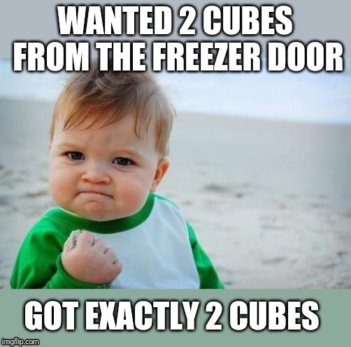 Fist pump baby | WANTED 2 CUBES FROM THE FREEZER DOOR; GOT EXACTLY 2 CUBES | image tagged in fist pump baby | made w/ Imgflip meme maker