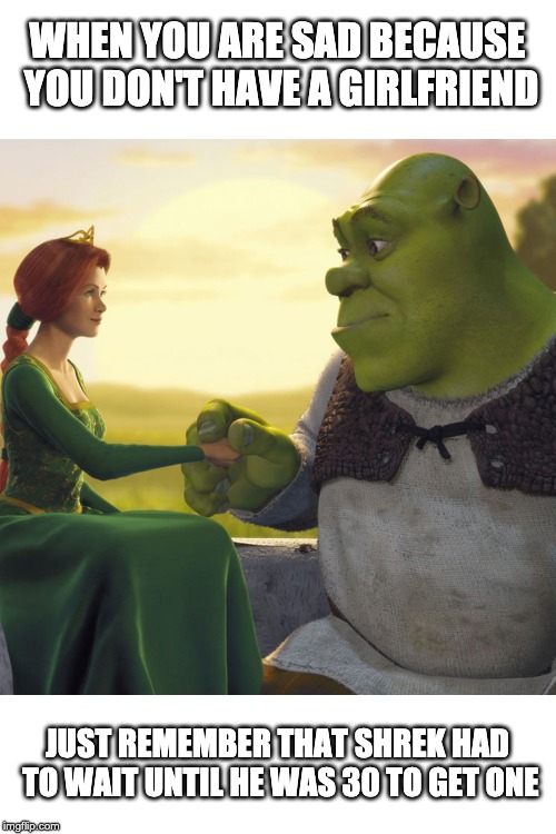 Shrek and Fiona | WHEN YOU ARE SAD BECAUSE YOU DON'T HAVE A GIRLFRIEND; JUST REMEMBER THAT SHREK HAD TO WAIT UNTIL HE WAS 30 TO GET ONE | image tagged in shrek and fiona | made w/ Imgflip meme maker