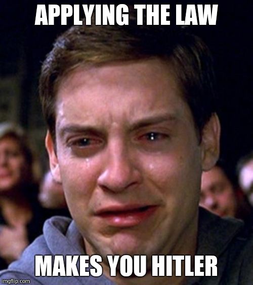 crying peter parker | APPLYING THE LAW MAKES YOU HITLER | image tagged in crying peter parker | made w/ Imgflip meme maker