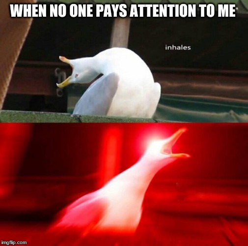 Inhaling Seagull  | WHEN NO ONE PAYS ATTENTION TO ME | image tagged in inhaling seagull | made w/ Imgflip meme maker
