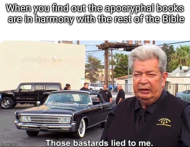 Those bastards lied to me | When you find out the apocryphal books are in harmony with the rest of the Bible | image tagged in those bastards lied to me | made w/ Imgflip meme maker