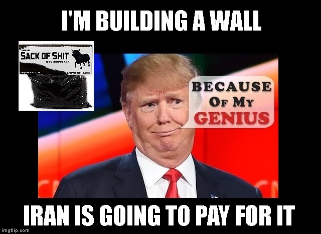 What an Idiot! | I'M BUILDING A WALL; IRAN IS GOING TO PAY FOR IT | image tagged in donald trump is an idiot,stable genius,trump is a moron | made w/ Imgflip meme maker