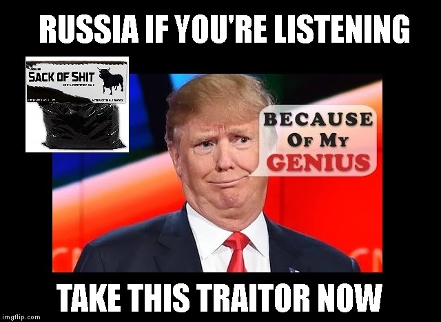 Welcomes Foreign Interference | RUSSIA IF YOU'RE LISTENING; TAKE THIS TRAITOR NOW | image tagged in traitor,trump traitor,russia,trump russia collusion,impeach trump | made w/ Imgflip meme maker