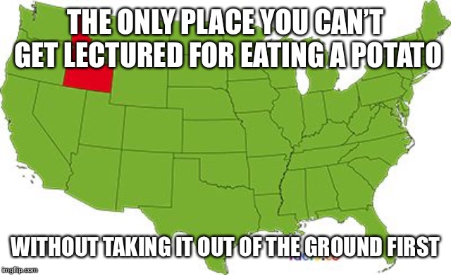 idaho | THE ONLY PLACE YOU CAN’T GET LECTURED FOR EATING A POTATO; WITHOUT TAKING IT OUT OF THE GROUND FIRST | image tagged in idaho | made w/ Imgflip meme maker
