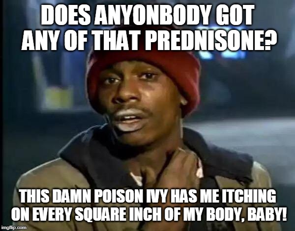 Y'all Got Any More Of That Meme | DOES ANYONBODY GOT ANY OF THAT PREDNISONE? THIS DAMN POISON IVY HAS ME ITCHING ON EVERY SQUARE INCH OF MY BODY, BABY! | image tagged in memes,y'all got any more of that | made w/ Imgflip meme maker