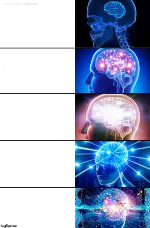 5-Tier Expanding Brain | image tagged in 5-tier expanding brain | made w/ Imgflip meme maker