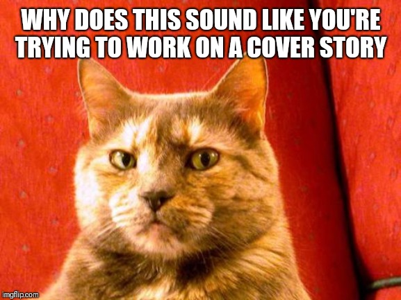 Suspicious Cat Meme | WHY DOES THIS SOUND LIKE YOU'RE TRYING TO WORK ON A COVER STORY | image tagged in memes,suspicious cat | made w/ Imgflip meme maker