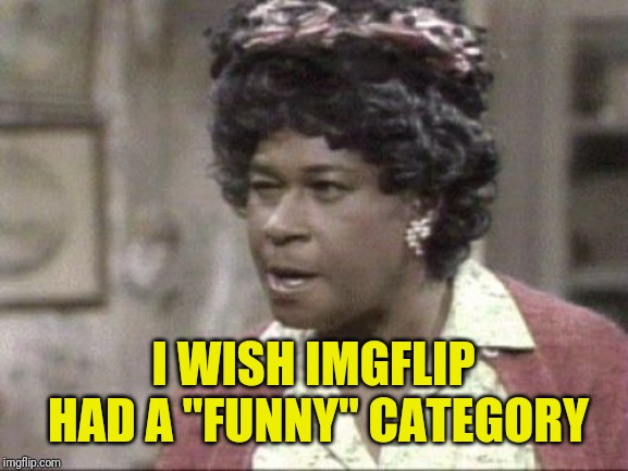 Aunt Ester Lectures | I WISH IMGFLIP HAD A "FUNNY" CATEGORY | image tagged in aunt ester lectures | made w/ Imgflip meme maker