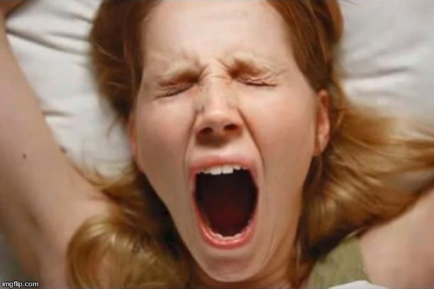 Yawning woman | image tagged in yawning woman | made w/ Imgflip meme maker