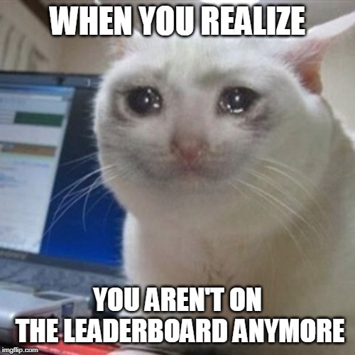 :-| | WHEN YOU REALIZE; YOU AREN'T ON THE LEADERBOARD ANYMORE | image tagged in crying cat | made w/ Imgflip meme maker