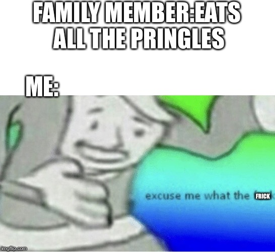 Don’t eat all the Pringles | FAMILY MEMBER:EATS ALL THE PRINGLES; ME:; FRICK | image tagged in excuse me wtf blank template | made w/ Imgflip meme maker