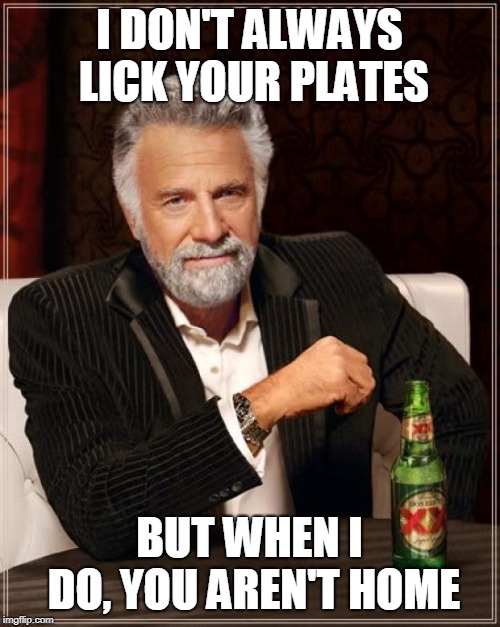 The Most Interesting Man In The World Meme | I DON'T ALWAYS LICK YOUR PLATES BUT WHEN I DO, YOU AREN'T HOME | image tagged in memes,the most interesting man in the world | made w/ Imgflip meme maker