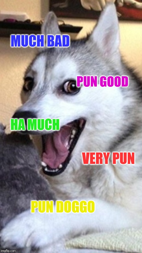 Bad Pun Dog | MUCH BAD; PUN GOOD; HA MUCH; VERY PUN; PUN DOGGO | image tagged in doge | made w/ Imgflip meme maker