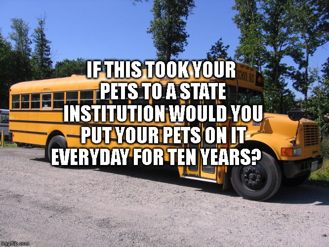 school bus | IF THIS TOOK YOUR PETS TO A STATE INSTITUTION WOULD YOU PUT YOUR PETS ON IT EVERYDAY FOR TEN YEARS? | image tagged in school bus | made w/ Imgflip meme maker