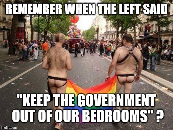 Gay Pride | REMEMBER WHEN THE LEFT SAID; "KEEP THE GOVERNMENT OUT OF OUR BEDROOMS" ? | image tagged in gay pride | made w/ Imgflip meme maker