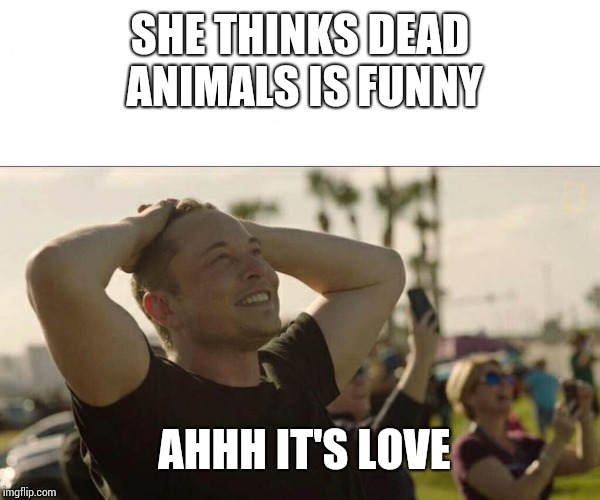 Elon Musk love | SHE THINKS DEAD ANIMALS IS FUNNY; AHHH IT'S LOVE | image tagged in elon musk love | made w/ Imgflip meme maker