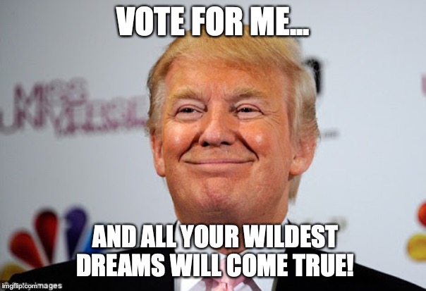 Donald trump approves | VOTE FOR ME... AND ALL YOUR WILDEST DREAMS WILL COME TRUE! | image tagged in donald trump approves | made w/ Imgflip meme maker
