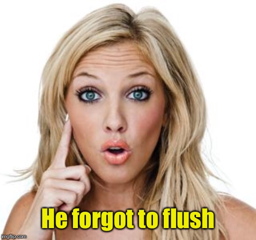 Dumb blonde | He forgot to flush | image tagged in dumb blonde | made w/ Imgflip meme maker