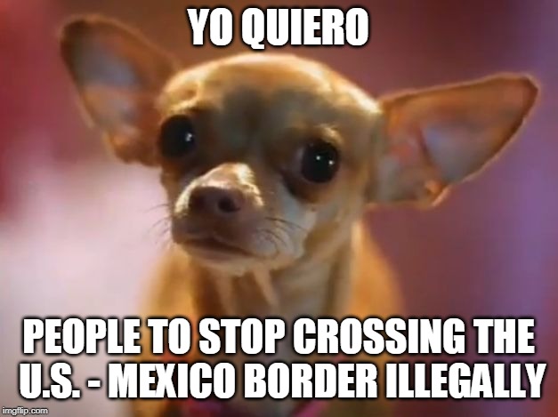 Chalupa Dog | YO QUIERO; PEOPLE TO STOP CROSSING THE U.S. - MEXICO BORDER ILLEGALLY | image tagged in chalupa dog | made w/ Imgflip meme maker