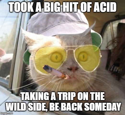 Fear And Loathing Cat | TOOK A BIG HIT OF ACID; TAKING A TRIP ON THE WILD SIDE, BE BACK SOMEDAY | image tagged in memes,fear and loathing cat | made w/ Imgflip meme maker