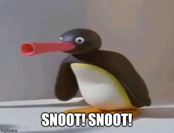 pingu | SNOOT! SNOOT! | image tagged in pingu | made w/ Imgflip meme maker