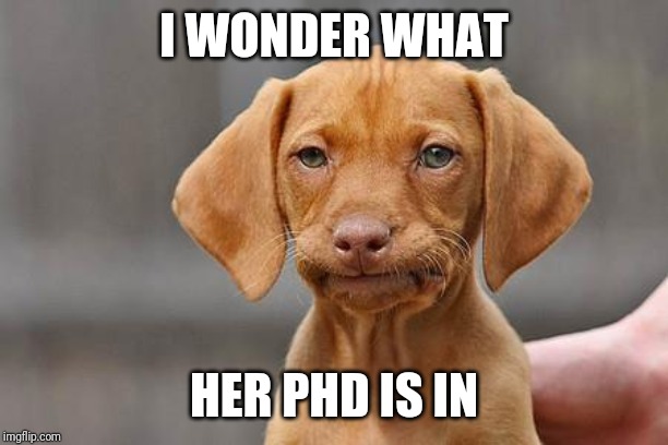 Dissapointed puppy | I WONDER WHAT HER PHD IS IN | image tagged in dissapointed puppy | made w/ Imgflip meme maker