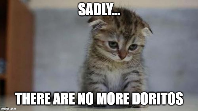 Sad kitten | SADLY... THERE ARE NO MORE DORITOS | image tagged in sad kitten | made w/ Imgflip meme maker