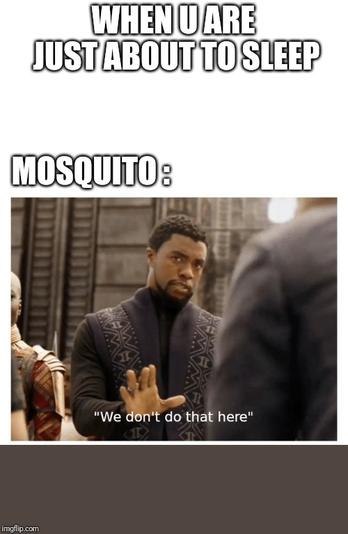we don't do that here | WHEN U ARE JUST ABOUT TO SLEEP; MOSQUITO : | image tagged in we don't do that here | made w/ Imgflip meme maker